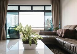 Valley Park (D10), Condominium #482033081